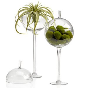 jules-canister-160139329